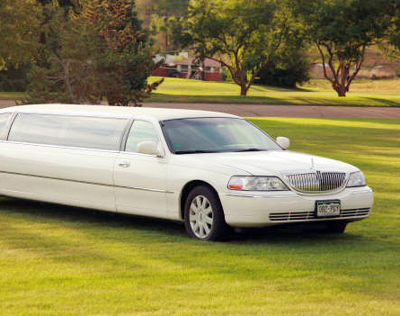 White Stretch Limo